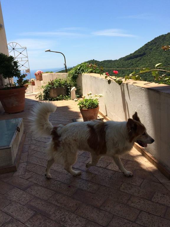 Le Terrazze Di Cristina Bed & Breakfast Vietri sul Mare Exterior photo