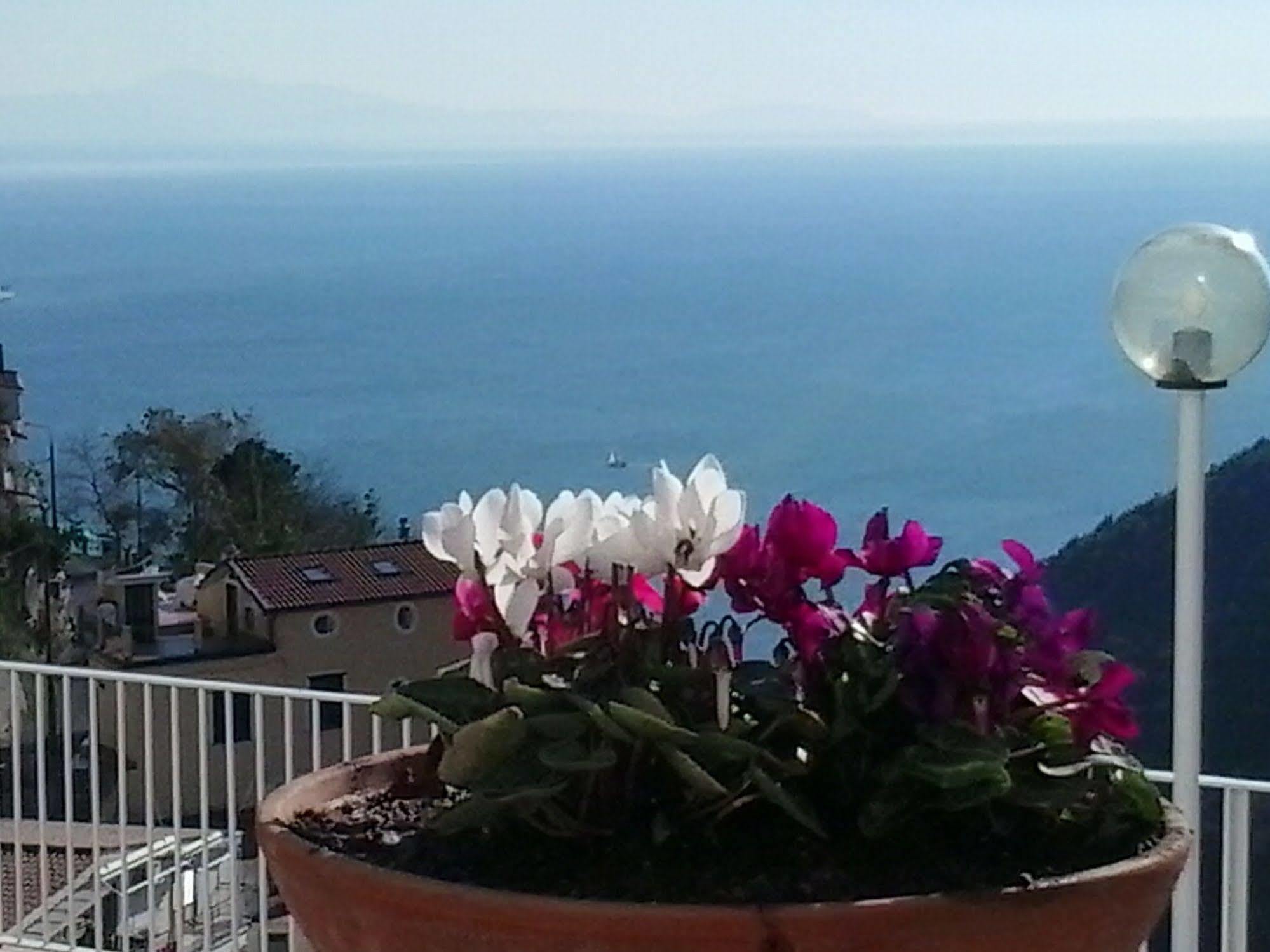 Le Terrazze Di Cristina Bed & Breakfast Vietri sul Mare Exterior photo