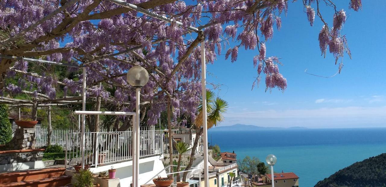 Le Terrazze Di Cristina Bed & Breakfast Vietri sul Mare Exterior photo